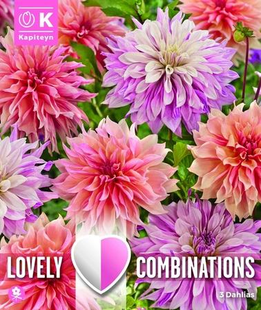 Bag Combination Dahlia Pastel Paint