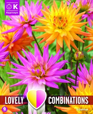 Bag Combination Dahlia Pink And Orange