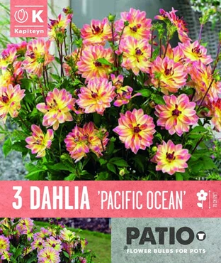 Bag Dahlia Pacific Ocean