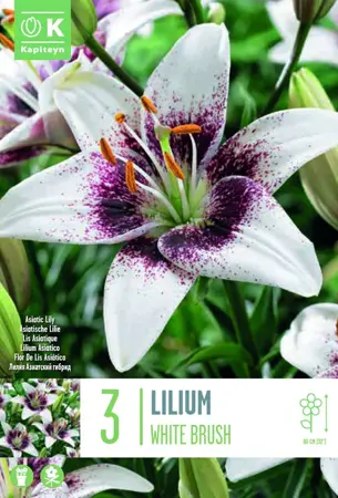 Bag Patio Lilium White Brush 