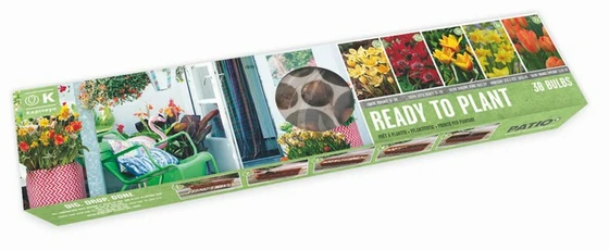Balcon-O-Mat Tray Sunshine Mix