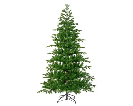 Balsamea Fir 7 ft - image 1