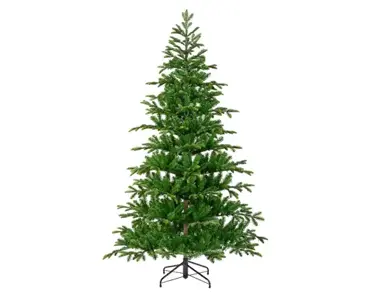 Balsamea Fir 7 ft
