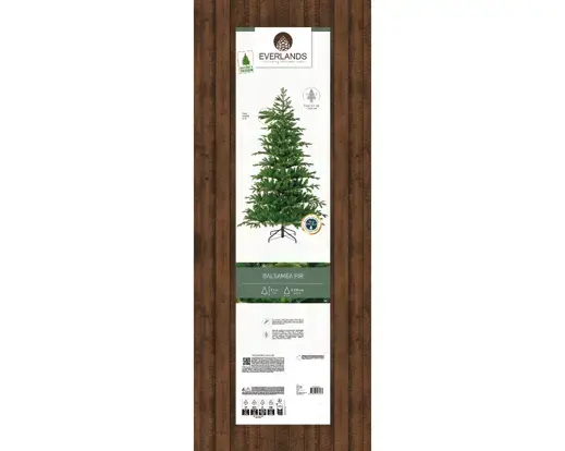 Balsamea Fir 7 ft - image 2