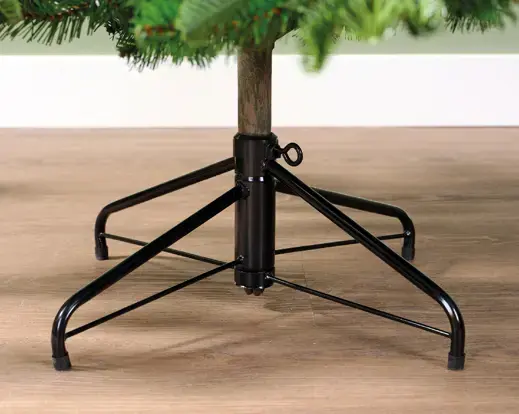 Balsamea Fir 7 ft - image 4