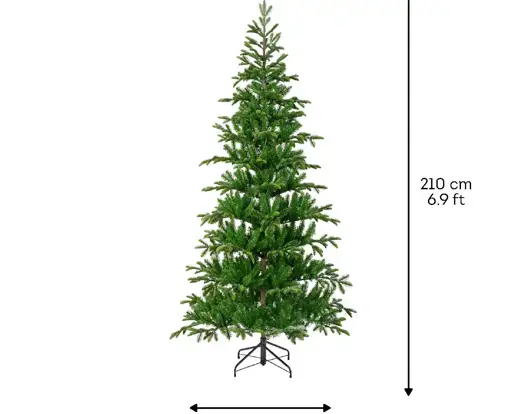 Balsamea Fir 7 ft - image 6