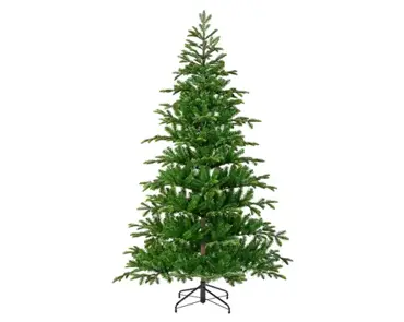 Balsamea Fir 8ft