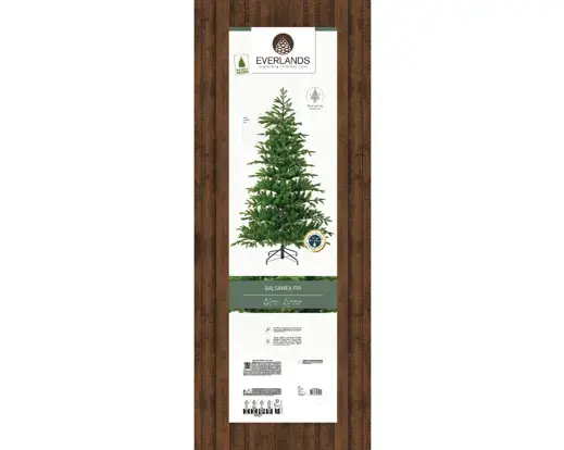 Balsamea Fir 8ft - image 2