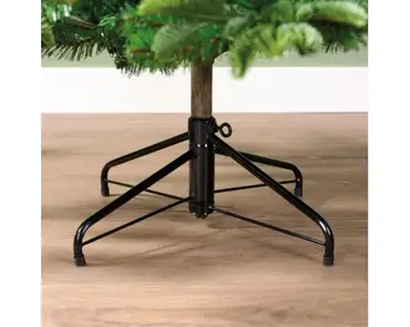 Balsamea Fir 8ft - image 4