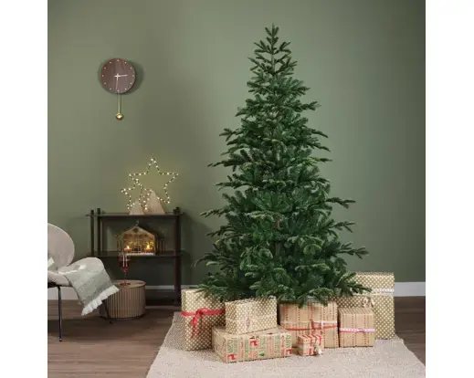 Balsamea Fir 8ft - image 5