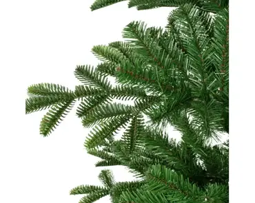 Balsamea Fir 8ft - image 7