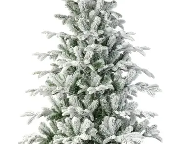 Balsamea Fir Snowy 7ft/210cm - image 3