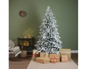 Balsamea Fir Snowy 7ft/210cm - image 5