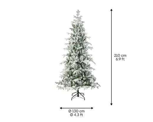 Balsamea Fir Snowy 7ft/210cm - image 6
