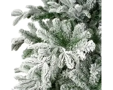 Balsamea Fir Snowy 7ft/210cm - image 7