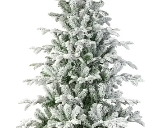 Balsamea Fir Snowy 7ft - image 3