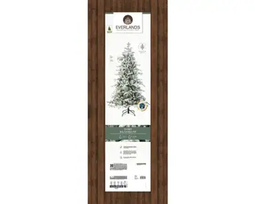 Balsamea Fir Snowy 8ft - image 2