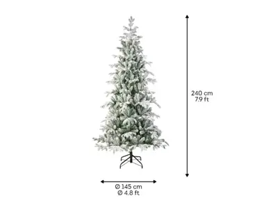 Balsamea Fir Snowy 8ft - image 6