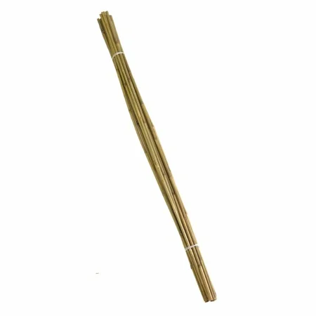 Bamboo Canes - 150 Cm Bundle Of 20 - image 1