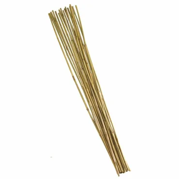 Bamboo Canes - 150 Cm Bundle Of 20 - image 2