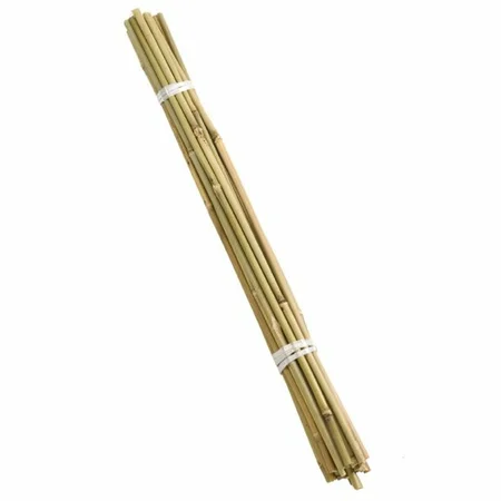 Bamboo Canes 60 Cm Bundle Of 20