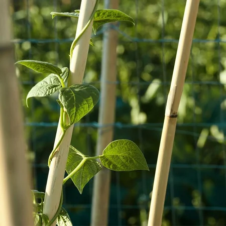 Bamboo U Hoop 60 Cm 3pk - image 2