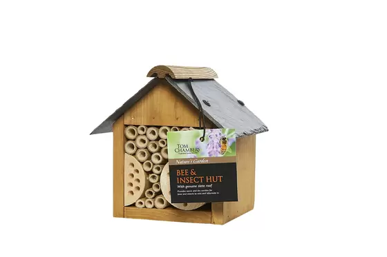 bee & insect hut