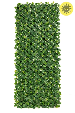 Beech Lvs Hedge Weather Resistant/Uv 100x200cm