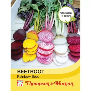 Beetroot Rainbow Beet