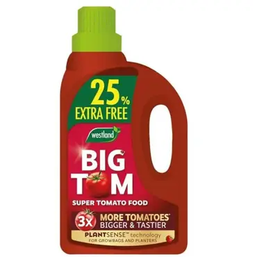 Big Tom Super Tomato Food 25% Extra Free