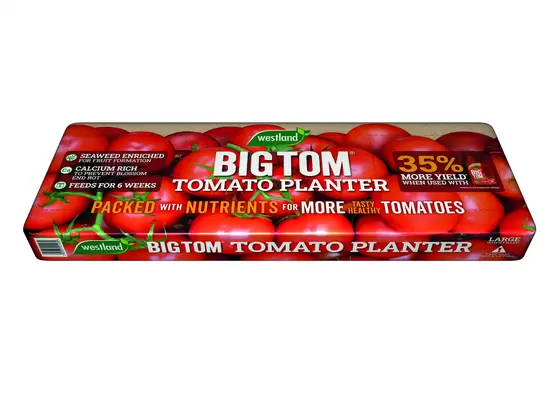 big tom tomato planter