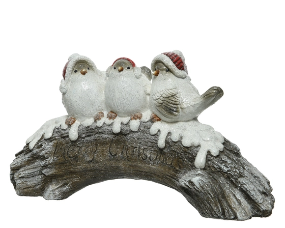 Bird Polymagnesium On Branch