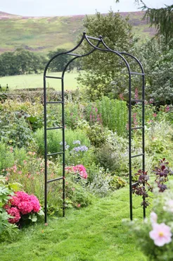 Black Baroque Garden Arch