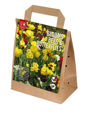 Blooms, Bees & Butterflies Landscape Garden Yellow & Maroon Mix