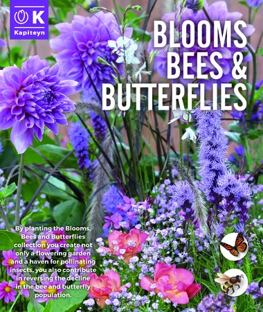 Blooms, Bees & Butterflies Violet & Pink - image 1