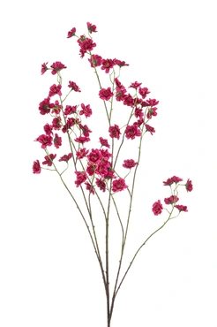 Blossom Spray Beauty 135cm