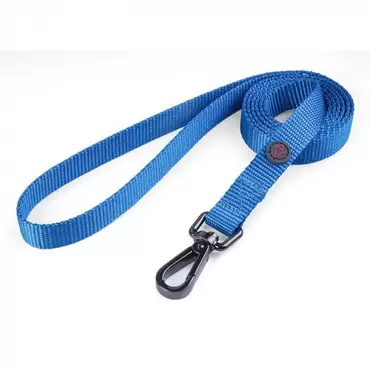Blue Walkabout Dog Lead - Small 