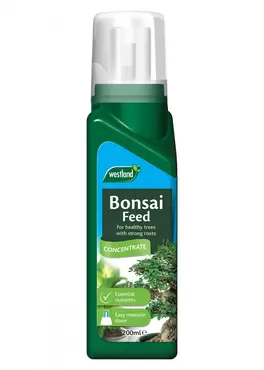 Bonsai Feed