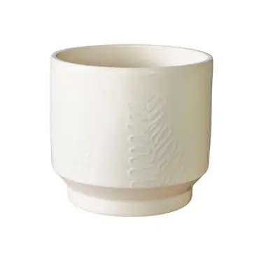 Botanist Ivory Leaf Embossed  H14cm D14cm