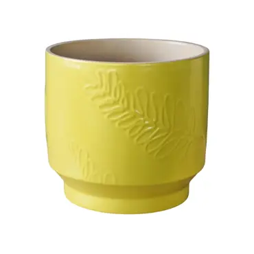 Botanist Lime Leaf Embossed  H15cm D17cm - image 1