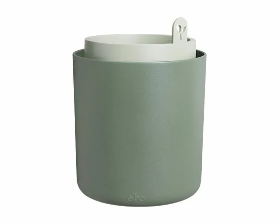 Bouncy Basil (Leaf Green) - image 1