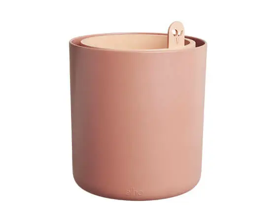 Bouncy Basil (Toffee Terra) - image 1