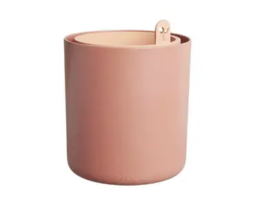 Bouncy Basil (Toffee Terra) - image 1