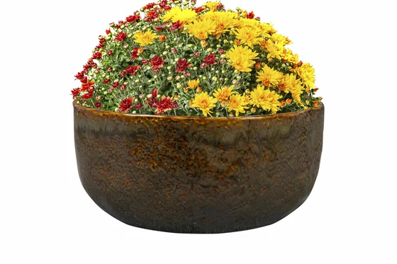 Bowl Brian Desert D21 H10 - image 2