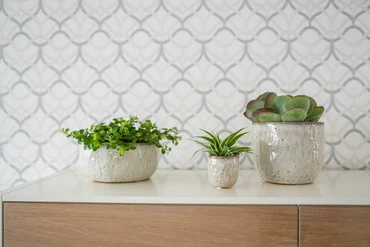 Bowl Brian Ivory D21 H10 - image 2