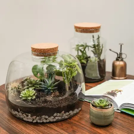 Bowl Shape Large Terrarium Diy Kit - image 3