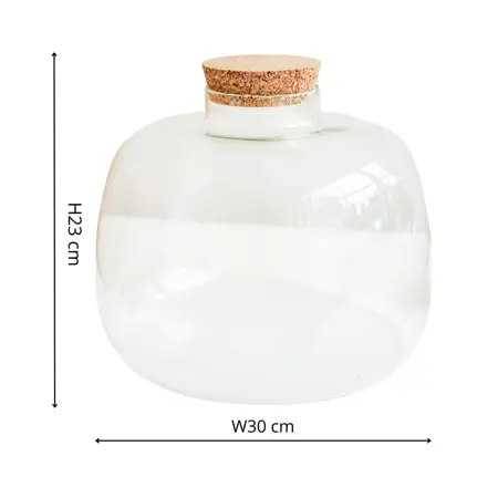 Bowl Shape Large Terrarium Diy Kit - image 4
