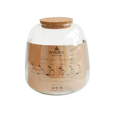 Bowl Shape Medium Terrarium Diy Kit  - image 1