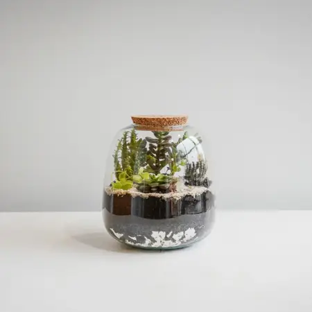 Bowl Shape Medium Terrarium Diy Kit  - image 4