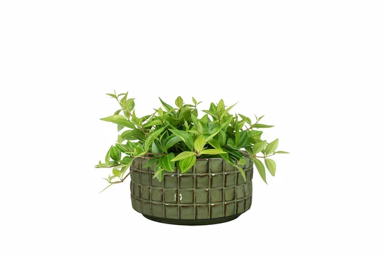 Bowl Stian Moss Green D20 H10 - image 2